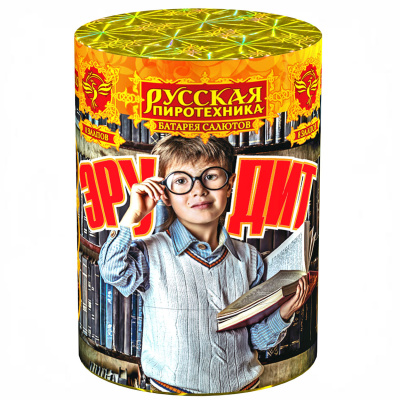Эрудит Фейерверк купить в Москве | salutsklad.ru